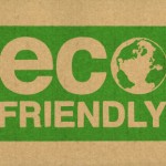 Eco Friendly Target Market